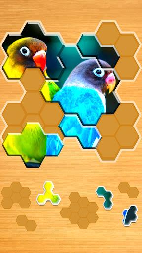 Jigsaw Puzzles Hexa - Gameplay image of android game