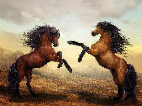Animal Images App - Image screenshot of android app