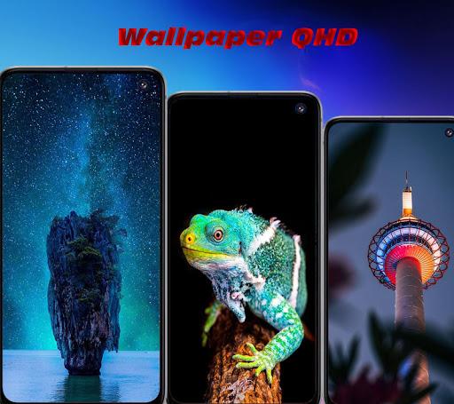 Wallpapers HD - Image screenshot of android app