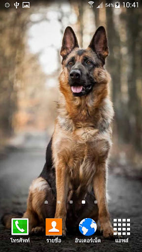 German Shepherd Wallpaper - عکس برنامه موبایلی اندروید