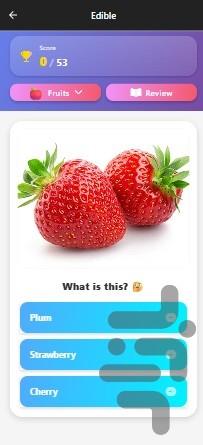 SamaLearn(3000 words in 6 languages) - Image screenshot of android app