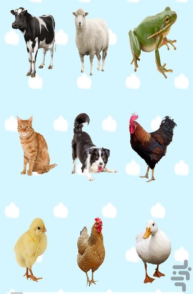 آموزش حیوانات به کودکان - Image screenshot of android app
