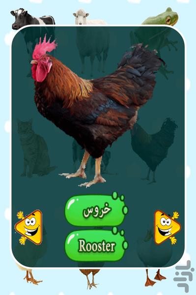 آموزش حیوانات به کودکان - عکس برنامه موبایلی اندروید