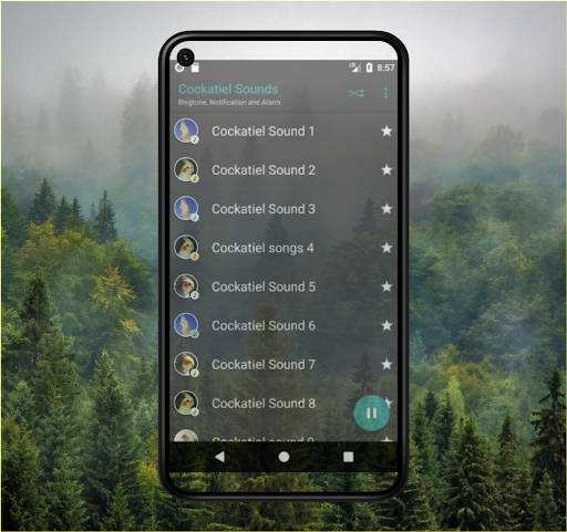 Cockatiel Sounds Offline Mp3 - Image screenshot of android app