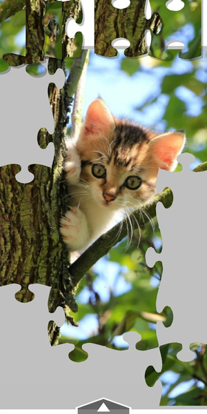 Kittens Jigsaw Puzzle - Gameplay image of android game