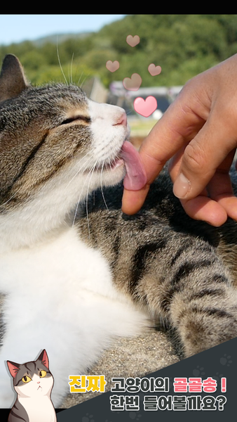 Fish Farm Cats - عکس بازی موبایلی اندروید