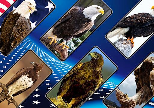 Eagle Wallpaper - Image screenshot of android app