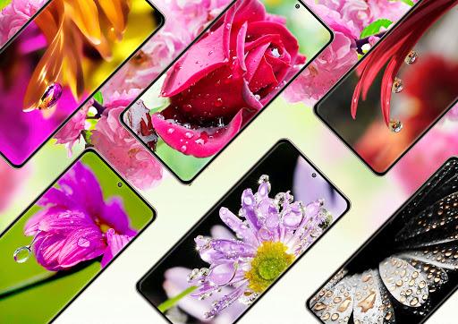 Flower Wallpapers - Image screenshot of android app