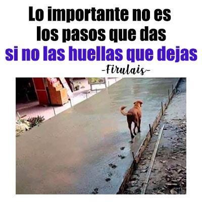 Imagenes chistosas - Image screenshot of android app