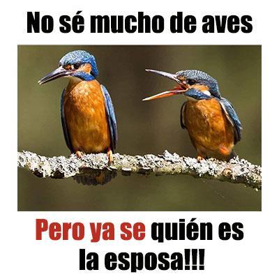 Imagenes chistosas - Image screenshot of android app