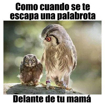 Imagenes chistosas - Image screenshot of android app