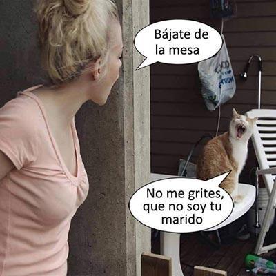 Imagenes chistosas - Image screenshot of android app