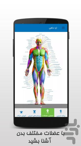 Sawfish bodybuilding(fitness) - Image screenshot of android app