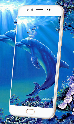 Dolphin Live Wallpaper 3D: HD Background 2018 - Image screenshot of android app