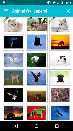 Animal Wallpapers! - Image screenshot of android app