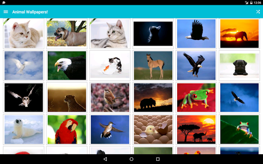 Animal Wallpapers! - Image screenshot of android app