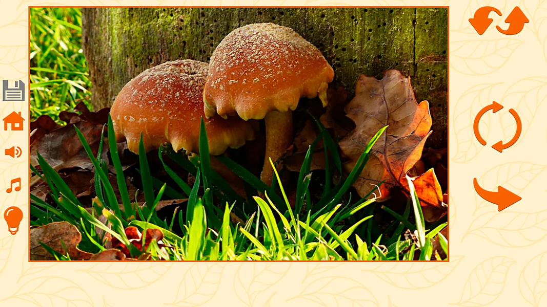 Puzzles autumn - عکس بازی موبایلی اندروید