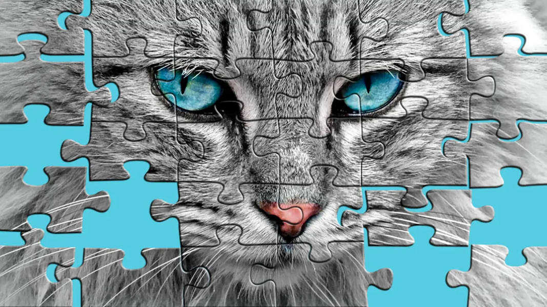 Big puzzles with cats - Gameplay image of android game