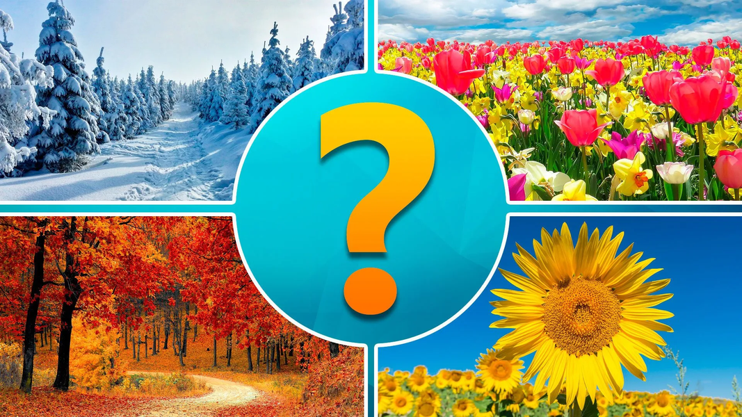4 pictures 1 word - عکس بازی موبایلی اندروید