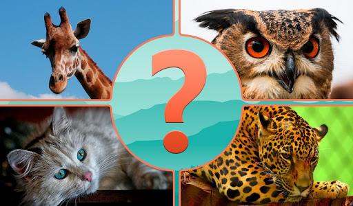 Guess the Animal - Image screenshot of android app