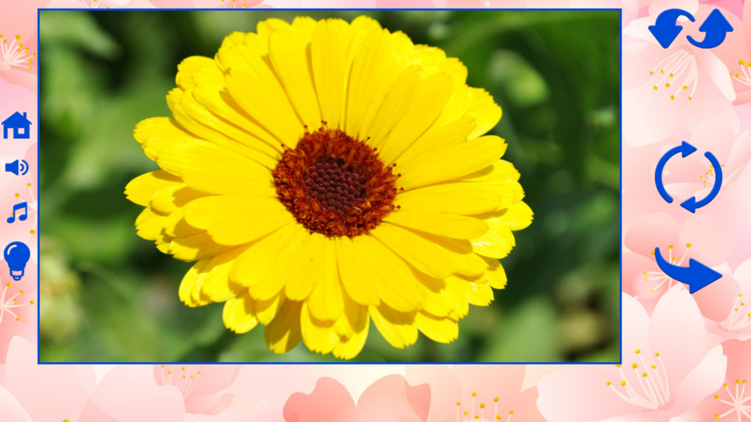 Big puzzles flowers - Gameplay image of android game