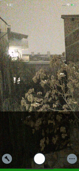 Ferret Night Camera - Image screenshot of android app