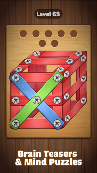 Screw Challenge: Nuts & Bolts - Gameplay image of android game