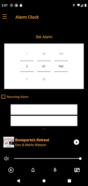 Real Roots Radio - Image screenshot of android app
