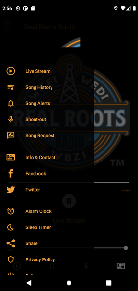 Real Roots Radio - Image screenshot of android app