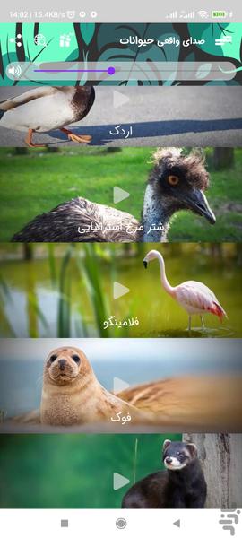 صدای واقعی حیوانات برای کودکان ۲۰۲۴ - عکس برنامه موبایلی اندروید