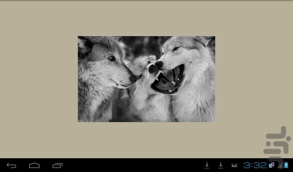 حقوق حیوانات به زبان انگلیسی - Image screenshot of android app