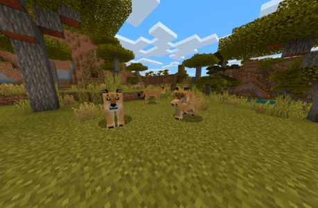 Animals Mod Minecraft for Android - Download | Cafe Bazaar