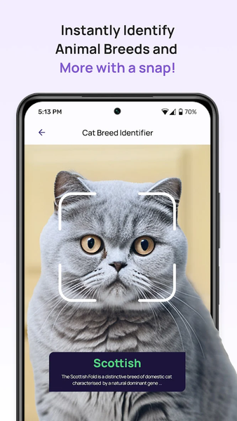 6Sense - Image screenshot of android app