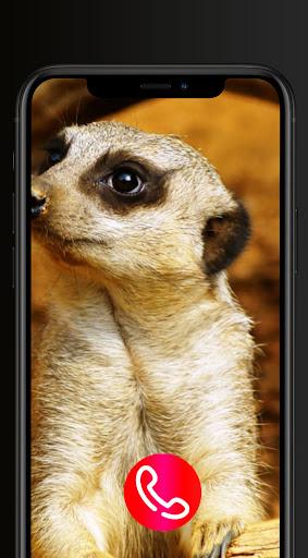 Fake Call Animals Ringtones - عکس برنامه موبایلی اندروید