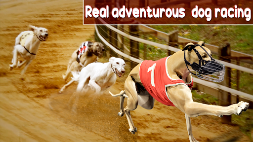 Dog Crazy Race Simulator 2021 - Image screenshot of android app