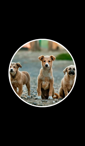 22 Clues: Word Game - Gameplay image of android game