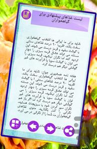 غذای ترکی - عکس برنامه موبایلی اندروید
