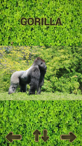 ZOO sounds quiz - عکس برنامه موبایلی اندروید