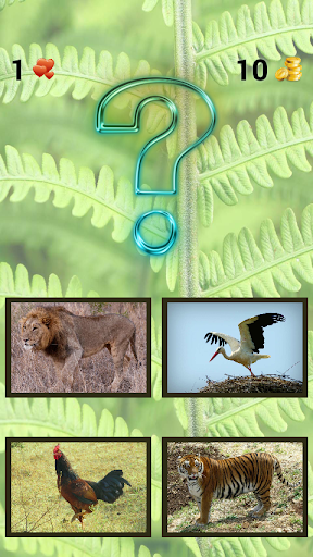 ZOO sounds quiz - عکس برنامه موبایلی اندروید