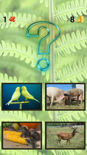 ZOO sounds quiz - Image screenshot of android app