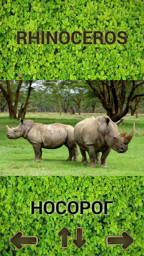 ZOO sounds quiz - عکس برنامه موبایلی اندروید