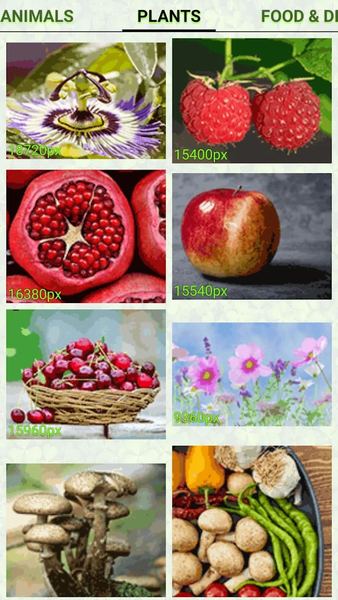 Clover Pixel Coloring - عکس بازی موبایلی اندروید