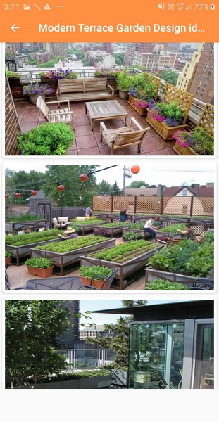 Modern Terrace Garden Design i - Image screenshot of android app