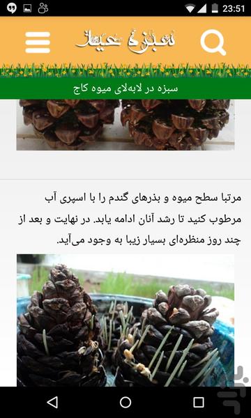 سبزه عید مادربانو - عکس برنامه موبایلی اندروید