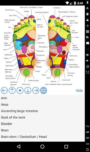 Foot Reflexology Chart - عکس برنامه موبایلی اندروید