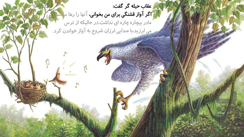 داستان صوتی عقاب و بلبل(دو زبانه) - عکس برنامه موبایلی اندروید