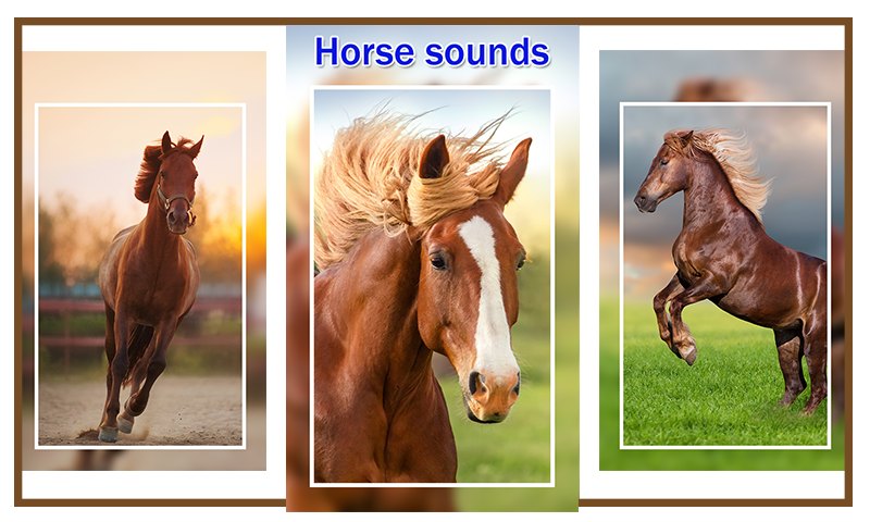 Horse Sounds and Ringtones - Image screenshot of android app