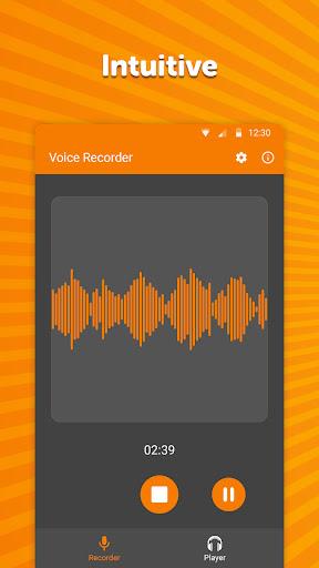 Simple Voice Recorder - عکس برنامه موبایلی اندروید