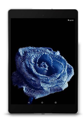 Amoled Wallpapers - عکس برنامه موبایلی اندروید