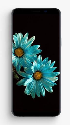 Amoled Wallpapers - عکس برنامه موبایلی اندروید